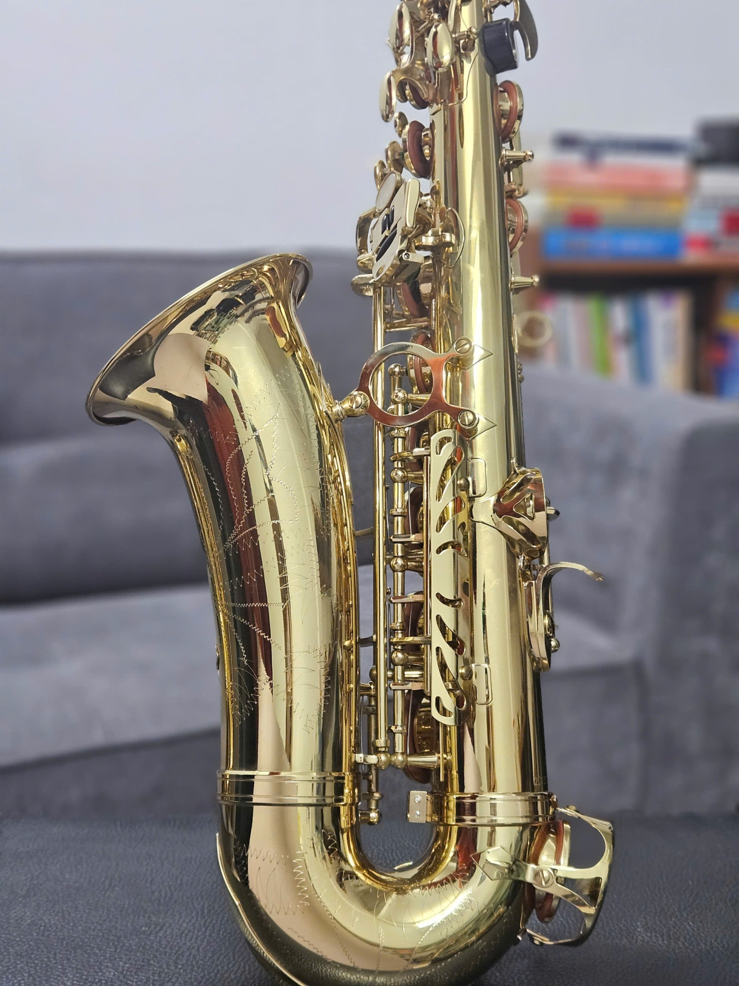 Kèn Saxophone Alto Selva