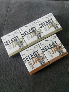 Dăm kèn Alto Rico D'addario