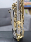 Kèn Alto Saxophone MAVARES Niken Trắng Key Vàng
