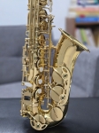 Kèn Alto Saxophone MAVARES Vàng