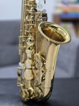 Kèn Alto Saxophone MAVARES Vàng